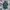 Houston Inc Vintage Parka Pria Green