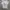 Gildan Streetwear Casual T-shirt Pria multicolor white photo 1