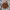Vintage Biker Fur coat Pria brown photo 1