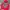 TapOut Vintage Y2K Hoody Pria Red