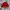 Vintage Casual Bomber jacket Pria red photo 7