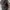 Streetwear Minimalist Bag Pria multicolor photo 3