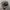 Vintage Avant Garde Hat Pria gray photo 1