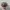 Vintage Avant Garde Hat Pria gray photo 2