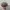 Vintage Avant Garde Hat Pria Gray