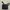 Porter Yoshida Streetwear Bag Pria black photo 1