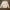 Dickies Casual Casual pants Pria white photo 5