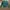 Dickies Casual Hoody Pria green photo 5