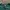Dickies Casual Hoody Pria green photo 3