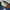 Levi's Streetwear Casual Jeans Pria navy photo 6
