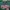 Dickies Casual Hoody Pria green photo 2