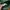 Dickies Casual Hoody Pria green photo 4