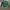 Dickies Casual Hoody Pria green photo 5