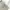 Streetwear Y2K Jeans Pria green gray photo 7