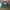 Dickies Casual Hoody Pria Green