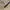 Yves Saint Laurent YSL Streetwear Avant Garde Casual Pants Pria Brown