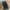 Vintage Streetwear Jeans Pria blue photo 4