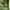 K2 Sportswear Casual Parka Pria green photo 4