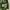 K2 Sportswear Casual Parka Pria green photo 5