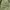 K2 Sportswear Casual Parka Pria green photo 7