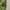 K2 Sportswear Casual Parka Pria green photo 3