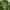 K2 Sportswear Casual Parka Pria green photo 2