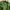 K2 Sportswear Casual Parka Pria Green