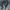 Sportswear Casual Parka Pria black photo 7