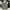 Converse Vintage Hoody Pria gray photo 1