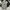 Converse Vintage Hoody Pria brown photo 1