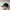 MLB Vintage Streetwear Hat Pria green photo 3