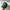 MLB Vintage Streetwear Hat Pria green photo 2