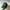 MLB Vintage Streetwear Hat Pria Green