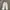 Y2K Sportswear Sweatpants & Joggers Pria Gray
