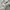 Nike NSW Vintage Hoody Pria gray photo 4