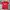 Adidas Sportswear Jersey Pria Red