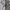 Hush Puppies Casual Casual shirt Pria white photo 4