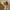 Converse Streetwear Casual Sneakers Pria yellow photo 1