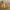 Converse Streetwear Casual Sneakers Pria yellow photo 2
