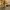 Converse Streetwear Casual Sneakers Pria yellow photo 5