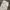 8seconds Streetwear Casual Casual pants Pria white photo 4