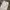 8seconds Streetwear Casual Casual pants Pria white photo 3
