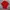 Polo Ralph Lauren Casual Polo shirt Pria red photo 1