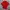 Polo Ralph Lauren Casual Polo Shirt Pria Red