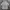 Adidas Casual Polo shirt Pria white photo 1