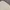 Vintage Minimalist Pria white cream photo 4