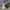Vintage Minimalist Pria white cream photo 2