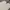 Vintage Minimalist Pria white cream photo 7