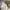 Vintage Minimalist Pria white cream photo 6