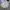 Vintage Sportswear Windbreaker Pria white blue photo 1